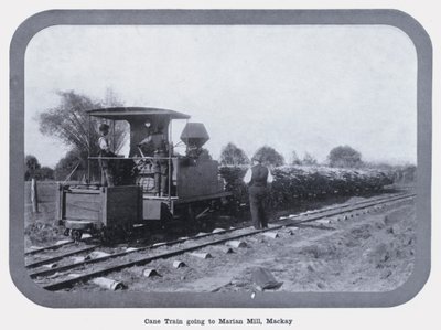 Cane Train går til Marian Mill, Mackay (s/hv-bilde) av Photographer Australian