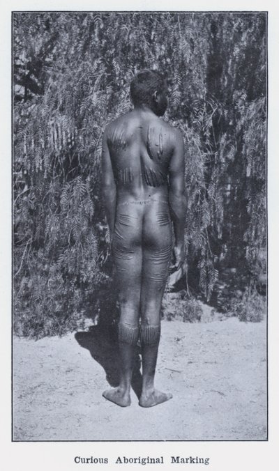 Nysgjerrig aboriginalmerking (s/hvitt-bilde) av Photographer Australian