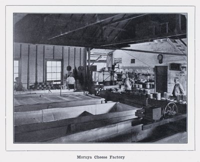 Moruya Cheese Factory (s/hvitt bilde) av Photographer Australian