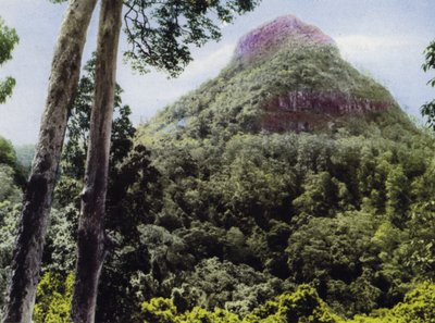 Queensland, Australia: Mt Cordeaux (bildet) av Photographer Australian