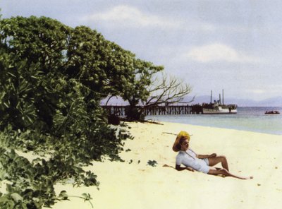 Queensland, Australia: The Tropical Beach (bilde) av Photographer Australian