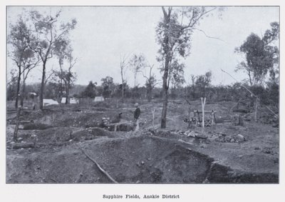 Sapphire Fields, Anakie District (s/hvitt bilde) av Photographer Australian