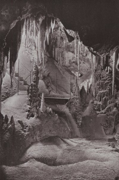 Scene i de berømte Jenolan-grottene, New South Wales (s/hvitt-bilde) av Photographer Australian