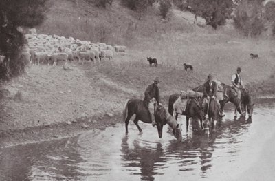 The Rest, typisk australske stockmen (s/hvitt-bilde) av Photographer Australian