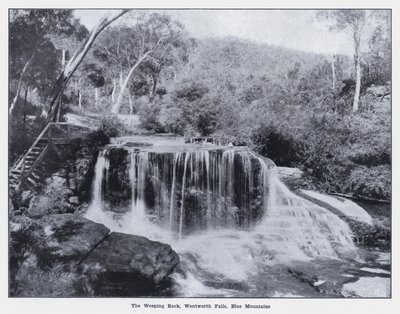 The Weeping Rock, Wentworth Falls, Blue Mountains (s/hv-bilde) av Photographer Australian