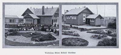 Victorian State School Gardens (s/hvitt bilde) av Photographer Australian