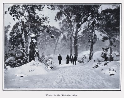 Vinter i de viktorianske alpene (s/hvitt bilde) av Photographer Australian