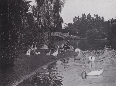 Lake, Beacon Hill Park, Victoria, British Columbia (s/hvitt bilde) av Photographer Canadian