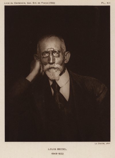 Ernest Marie Louis Bedel, fransk entomolog (s/hvitt bilde) av Photographer French
