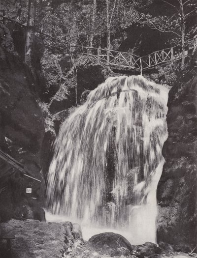 Amselfall (s/hvitt bilde) av Photographer German