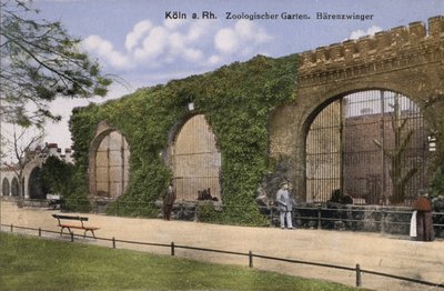 Köln Zoo, Bears (bilde) av Photographer German