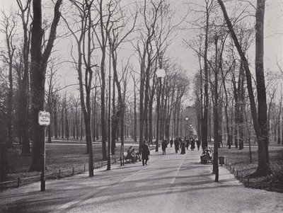 I Tiergarten, Ahornsteig (s/hvitt bilde) av Photographer German