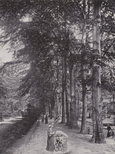 I Tiergarten, en skyggefull sti (s/hvitt bilde) av Photographer German