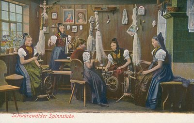 Spinnere i Schwarzwald, Tyskland. (fargebilde) av Photographer German