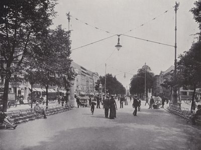 Unter Den Linden, Mittelallee og utsikt over monumentet til Fredrik den store (s/hv-bilde) av Photographer German