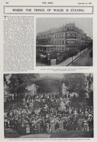 Besøk av prinsen av Wales og hertugen av Cambridge til spa-feriestedet Bad Homburg, Tyskland av Photographer German