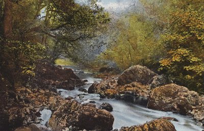 Irland: In The Dargle, County Wicklow (farget bilde) av Photographer Irish