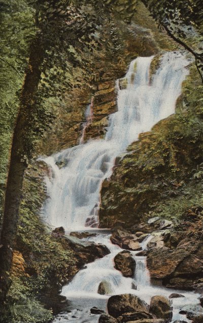 Sør-Irland: Torc Cascade, Killarney (farget bilde) av Photographer Irish