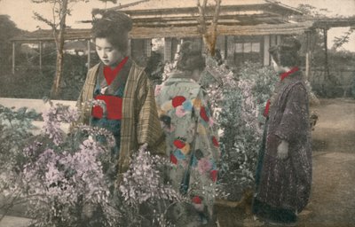 Japanske kvinner med blåregnplanter (farget bilde) av Photographer Japanese