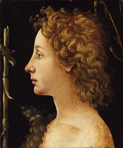 Den unge døperen Johannes (tempera og olje på tre) av Piero di Cosimo