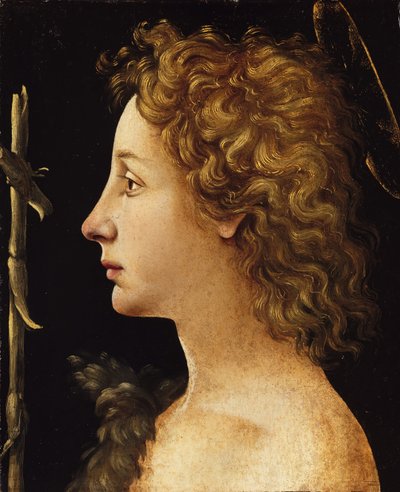 Den unge døperen Johannes, ca. 1480-82. av Piero di Cosimo