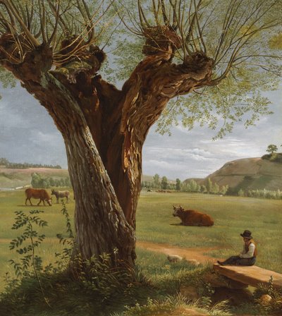  av Pierre Jean Boquet