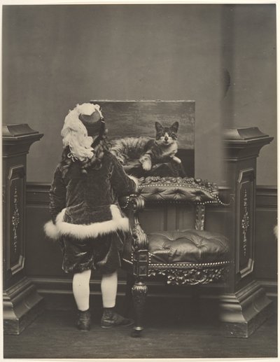  av Pierre-Louis Pierson