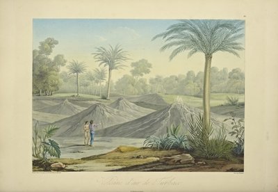 Air Volcanoes of Turbaco, gravert av Bouquet, illustrasjon fra 'Views of the Cordilleras and Monuments of the Native Peoples of America' av Alexander von Humboldt og Aime Bonpland av Pierre Antoine (after) Marchais