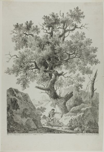  av Pierre Antoine Mongin