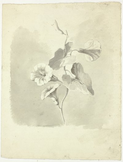  av Pierre Antoine Mongin