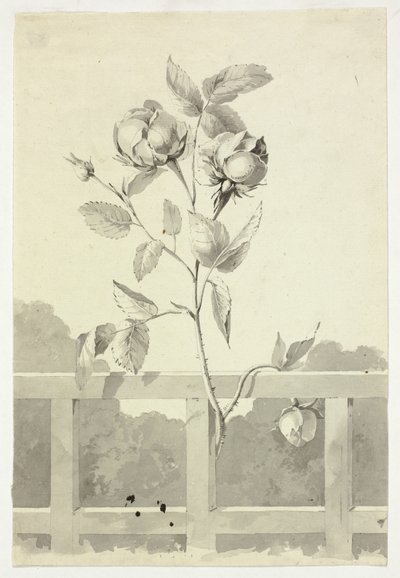  av Pierre Antoine Mongin