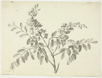  av Pierre Antoine Mongin