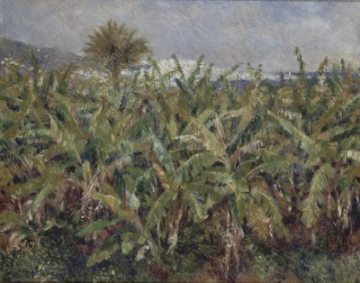 Field of Banana Trees Champ de bananiers, 1881 av Pierre Auguste Renoir