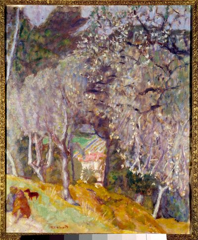 House in the Olives av Pierre Bonnard