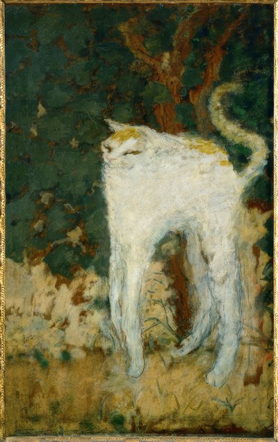 Den hvite katten av Pierre Bonnard