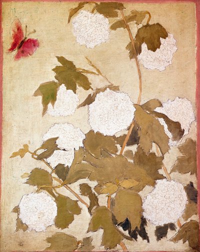 Snøballer Blomster Snøballer (Viburnum Ob) og rød sommerfugl. Maleri av Pierre Bonnard (1867-1947) Samling P. M. Samuel av Pierre Bonnard