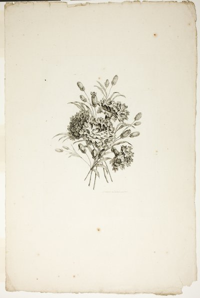 Bukett med nelliker, fra samling av forskjellige blomsterbuketter, oppfunnet og tegnet av Jean Pillement og gravert av P. C. Canot av Pierre Charles Canot