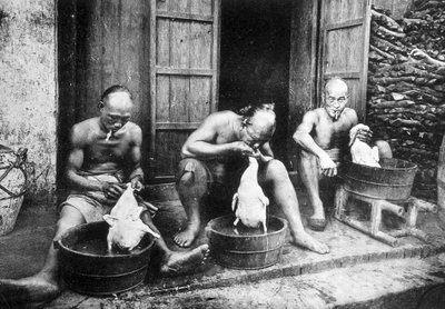 Kinesiske andefjær, "" Saigon og dens omgivelser"", foto. Dieulefils, c. 1900. av Pierre Dieulefils