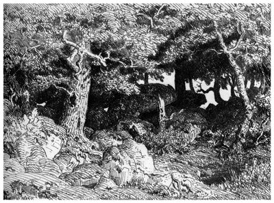 The Chenes de Roche, c1832-1860, 1924 av Pierre Etienne Theodore Rousseau