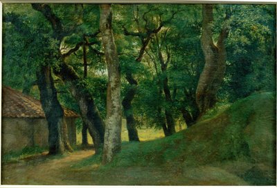 Foret de la Villa Borghese - Forest of the Villa Borghese … av Pierre-Henri de Valenciennes