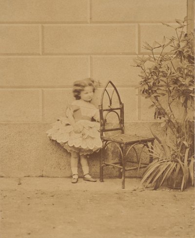 Fortsatt den rustikke stolen, 1860-tallet. av Pierre Louis Pierson
