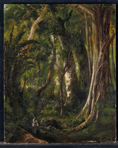 Reisende i en cubansk skog (olje på panel) av Pierre Toussaint Frédéric Mialhe