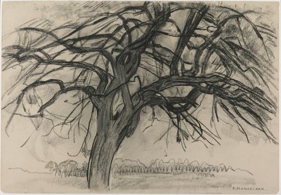 Foreløpig studie for kvelden: The Red Tree, 1908 (svart fargestift og kull på papir) av Piet Mondrian