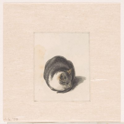 Sittende katt, sett forfra av Pieter Bartholomeusz. Barbiers