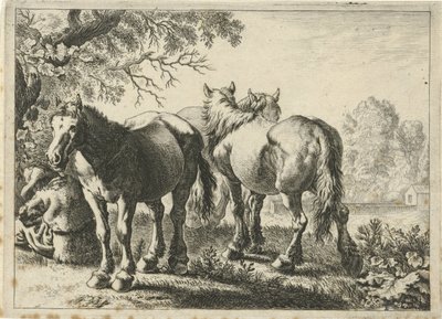 Tre hester og en bonde Forskjellige dyr (serietittel) av Pieter Bodding van Laer