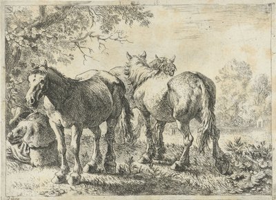 Tre hester og en bonde Forskjellige dyr (serietittel) av Pieter Bodding van Laer