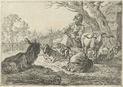Gjeterinne iblant geiter og sauer Forskjellige dyr (serietittel) av Pieter Bodding van Laer