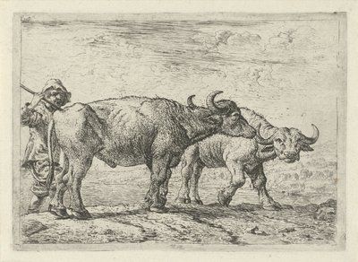 To bøfler og en gjeter Forskjellige dyr (serietittel) av Pieter Bodding van Laer