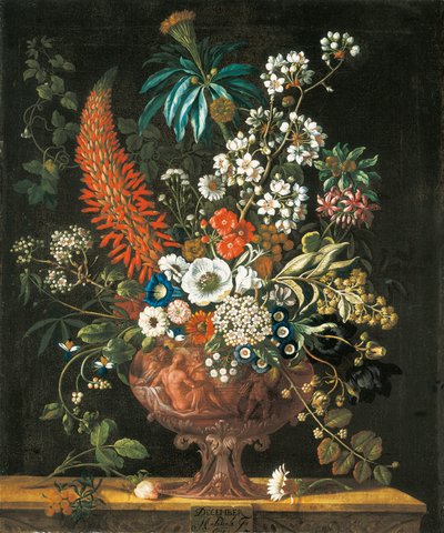 desember, fra The Twelve Months of Flowers, en blomsterkalender med stilleben, 1730 av Pieter Casteels