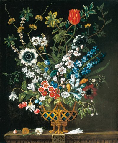 februar, fra The Twelve Months of Flowers, en blomsterkalender med stilleben av Pieter Casteels
